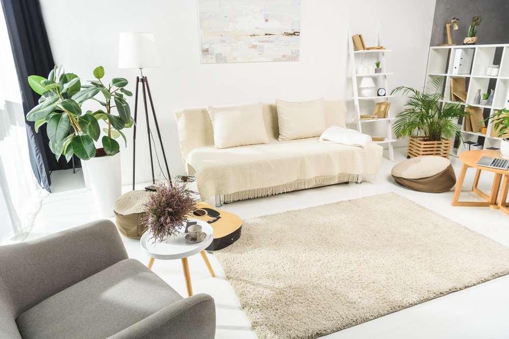 habitación estilo nórdico con plantas